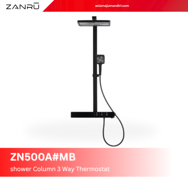 zn500amb