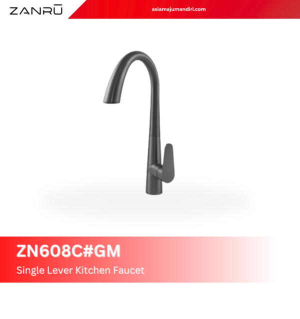 zn608cgm