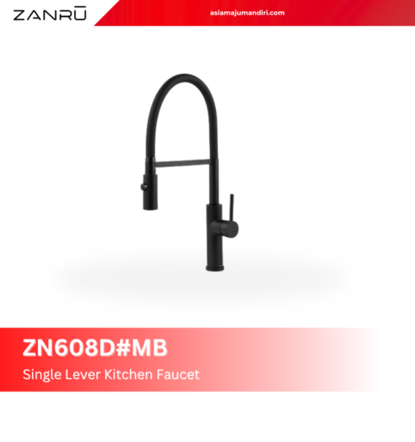 zn608dmb